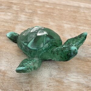 Tortue