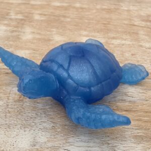 Tortue