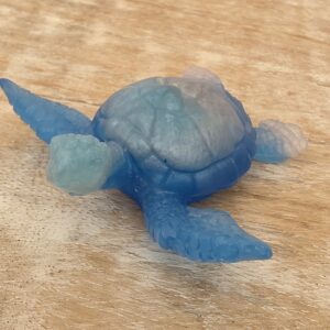 Tortue