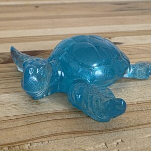 Petite Tortue