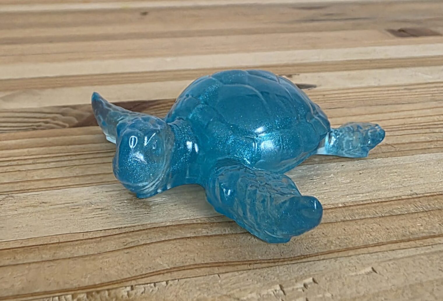 Petite Tortue