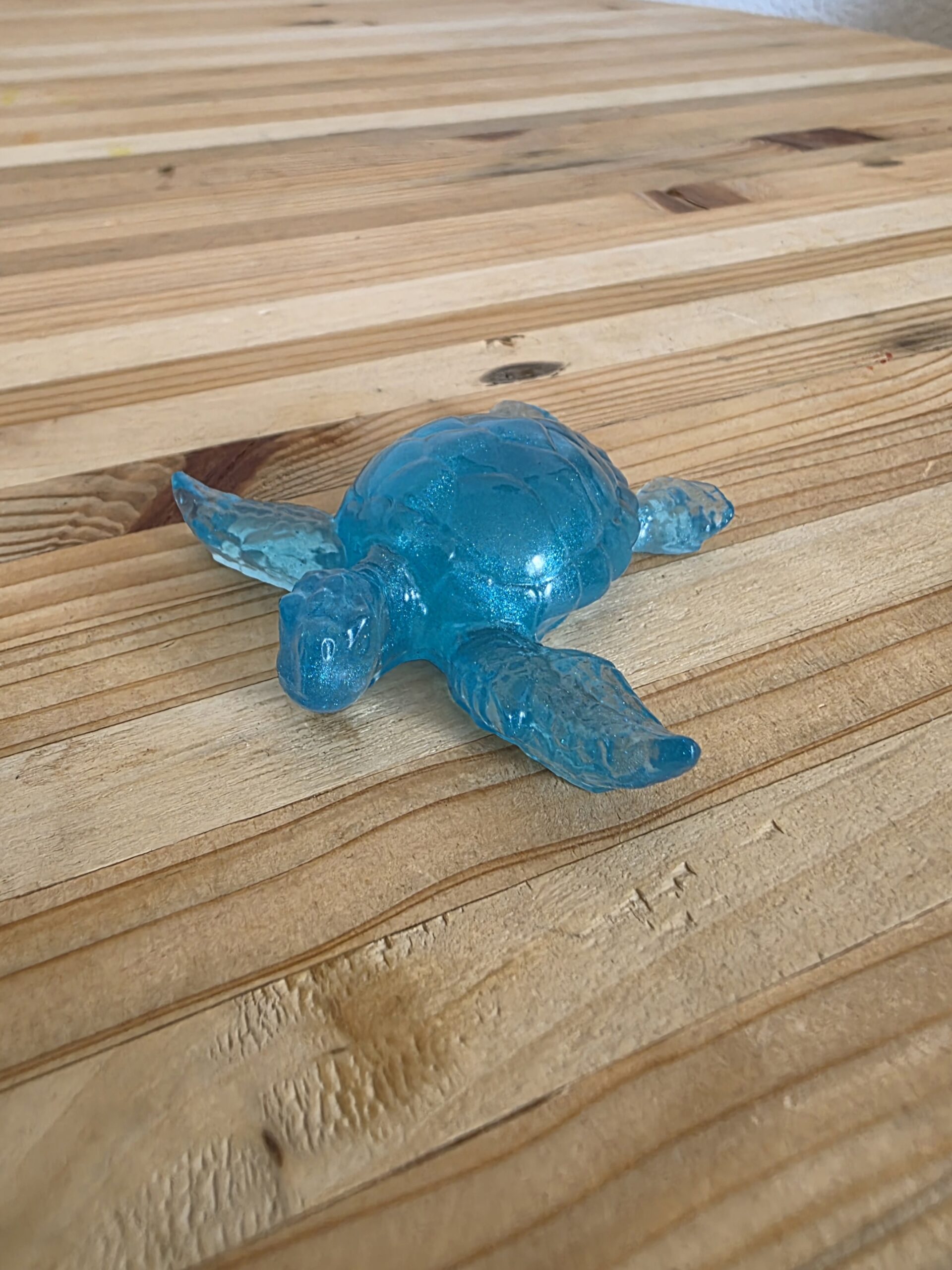 Petite Tortue – Image 2